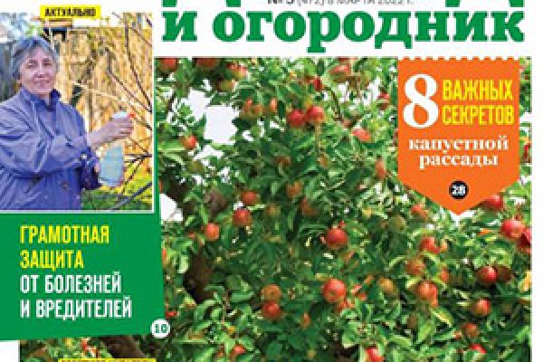 Кракен даркнет текст